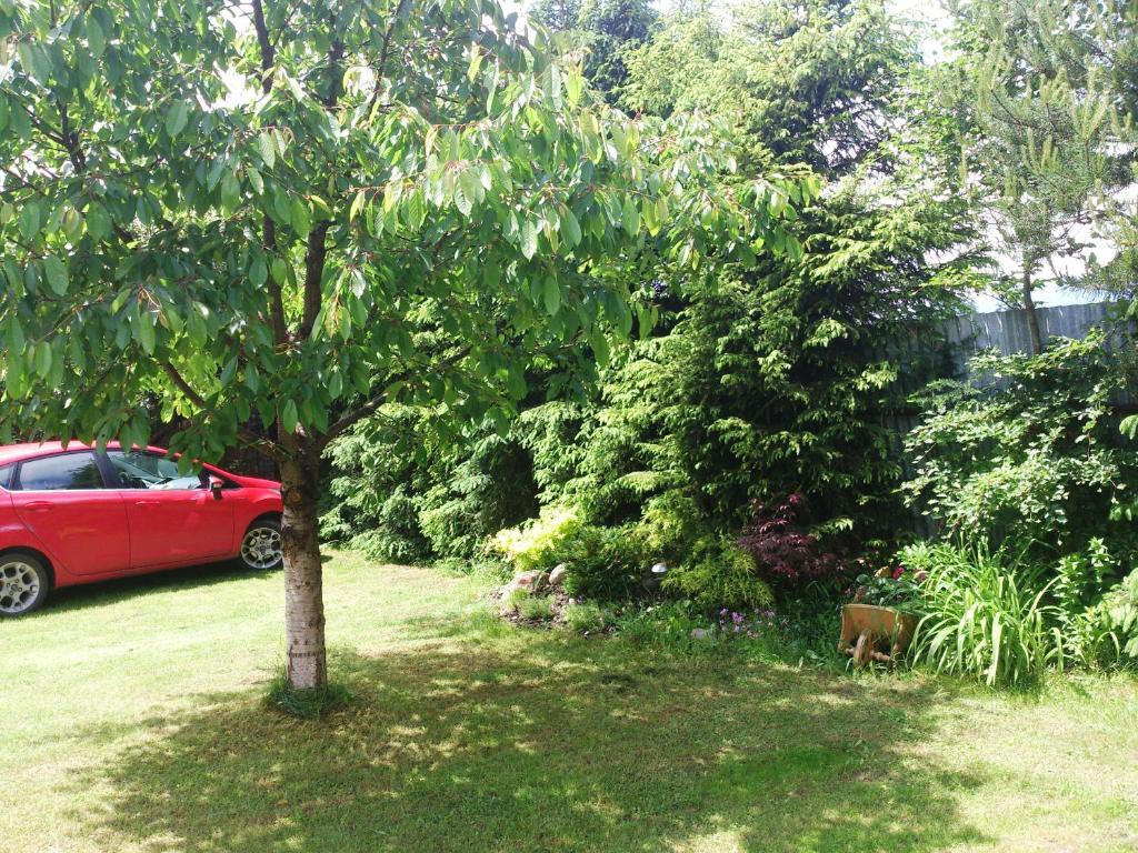 Sunnystreet Guesthouse Stará Lesná Exterior foto